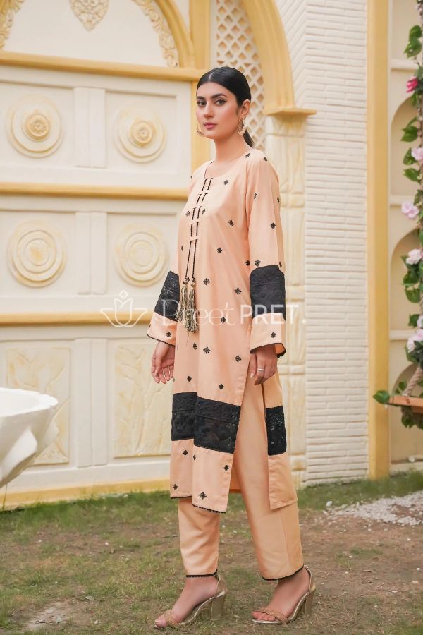 RANG REZA Sequence Embroided 2PC